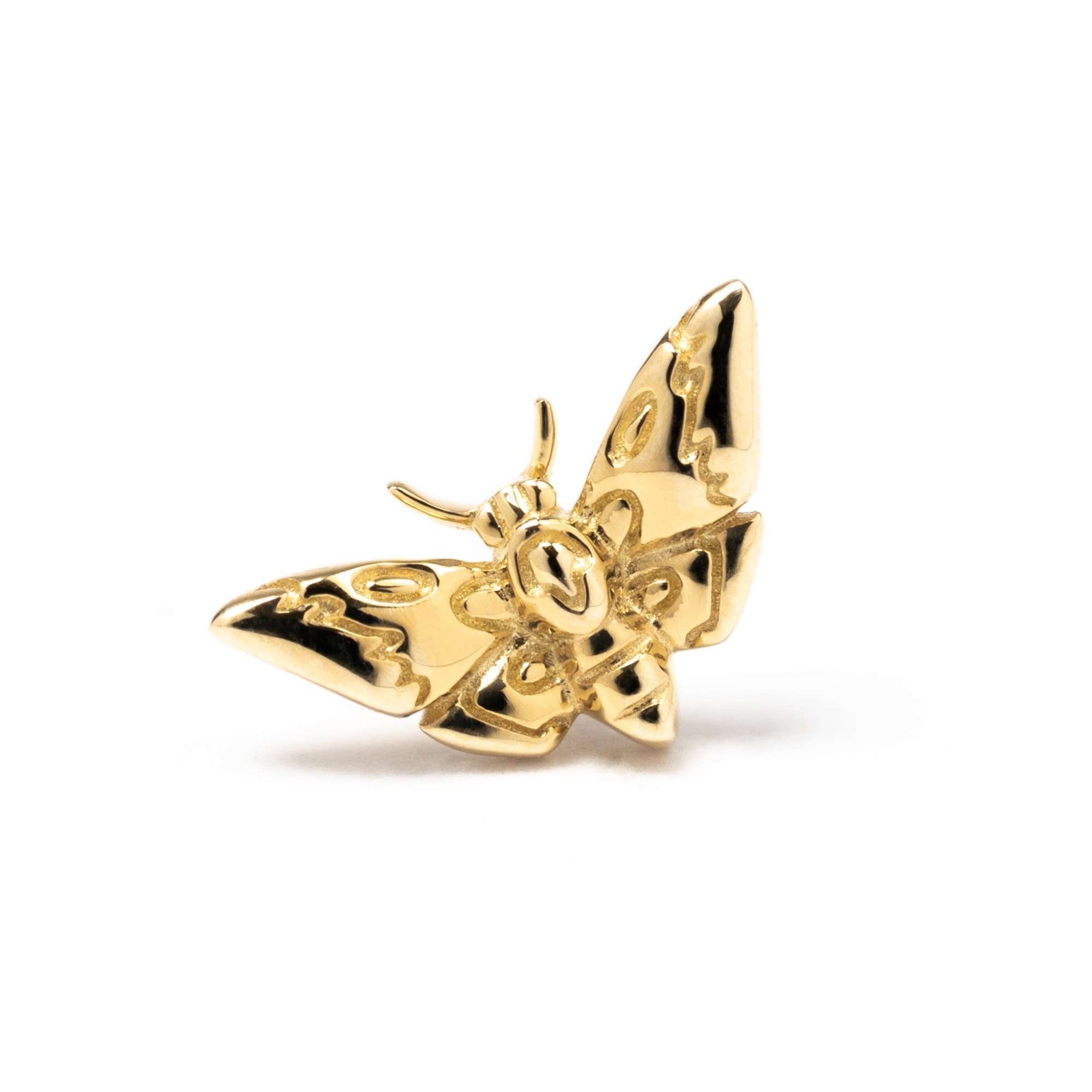 Junipurr Deaths-Head Moth Yellow Gold