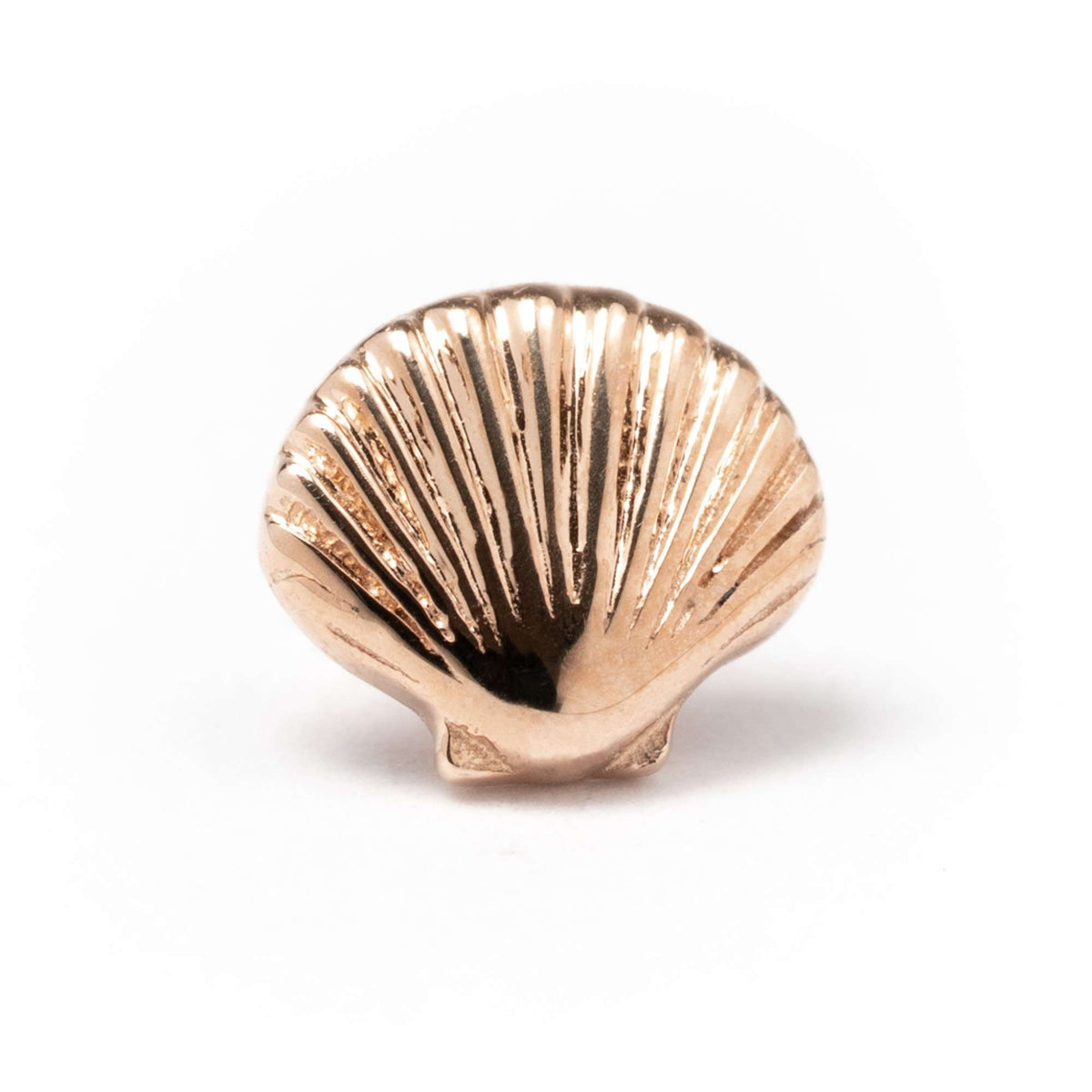 BVLA Scallop Shell Rose Gold