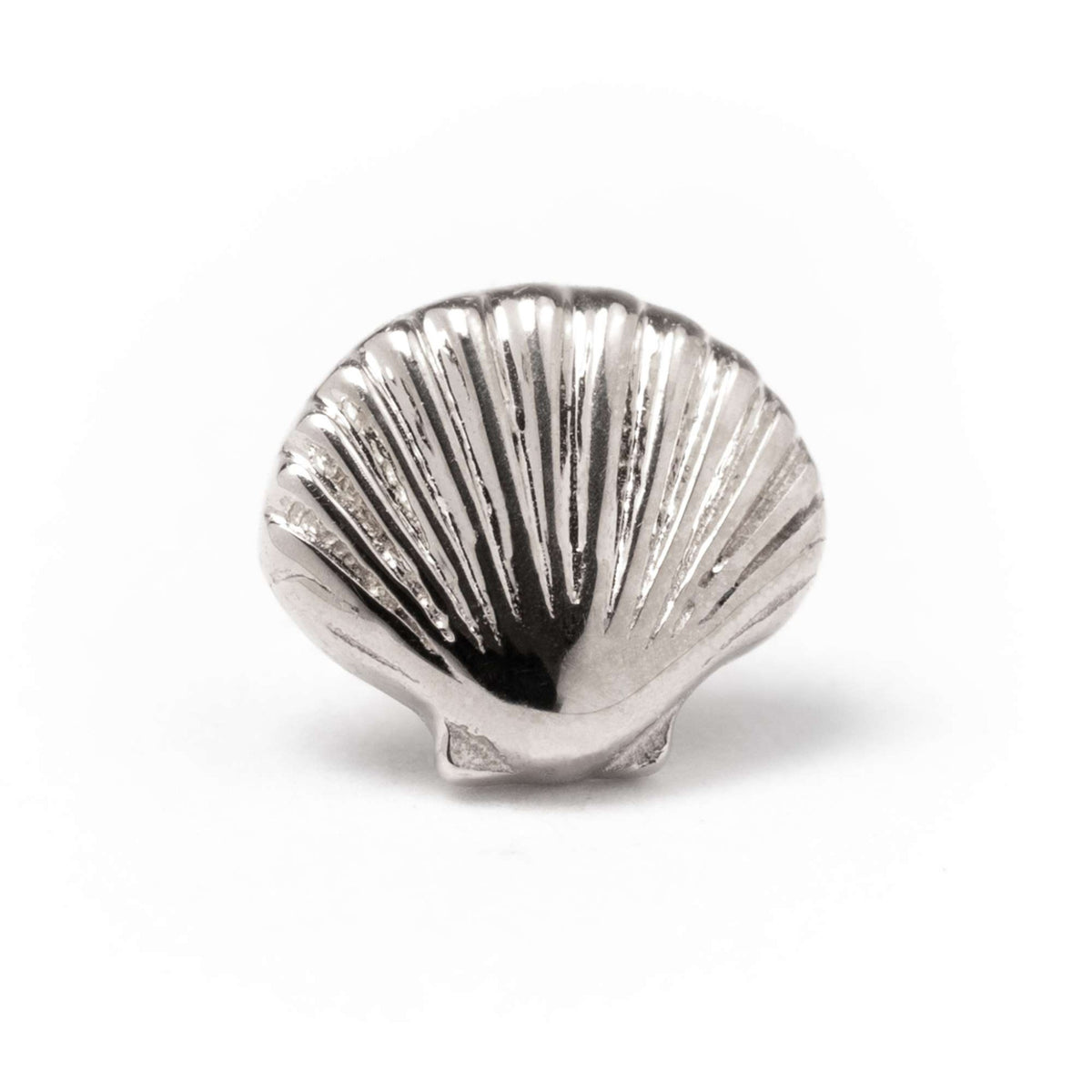 BVLA Scallop Shell White Gold