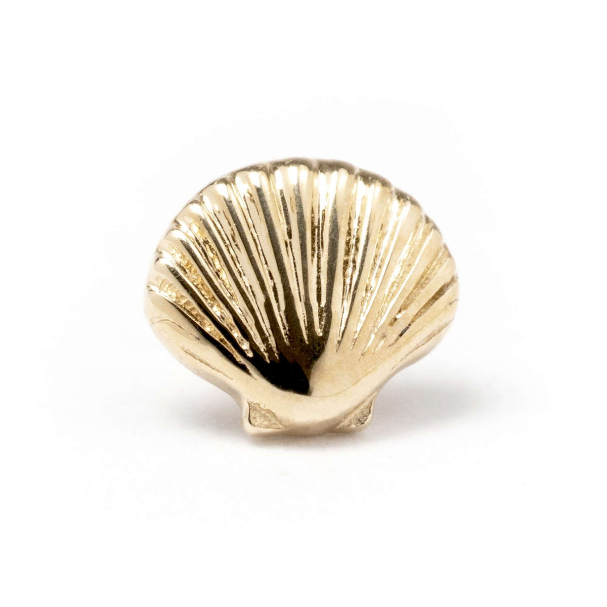 BVLA Scallop Shell Yellow Gold